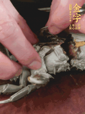 大閘蟹洗凈對(duì)半切，去底蓋去鰓。